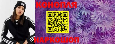 прущие грибы Кандалакша