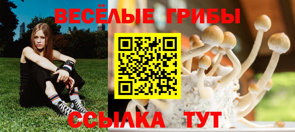Псилоцибиновые грибы Psilocybine cubensis Кумертау